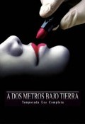 A dos metros bajo tierra Temporada 1 - dvd 4