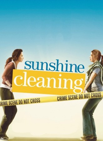 Sunshine Cleaning
