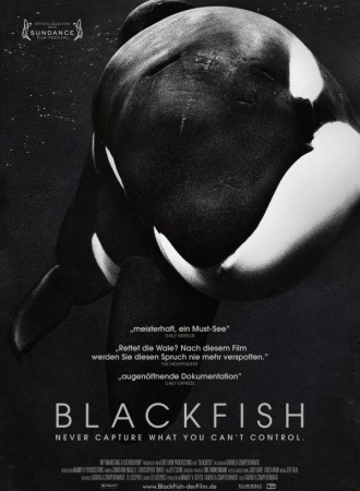 Blackfish