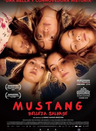 Mustang