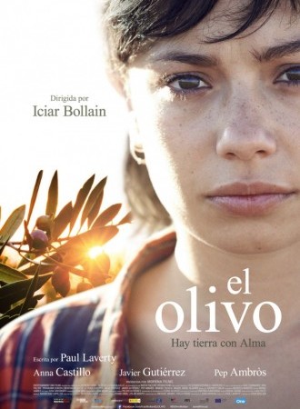 El olivo