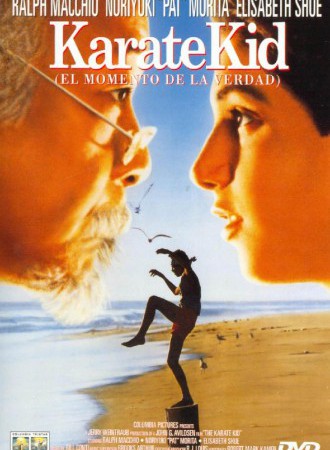 the karate kid