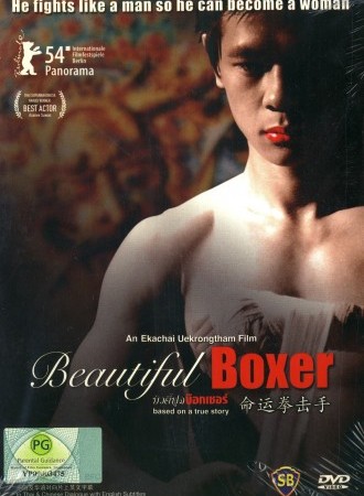 Beautiful Boxer